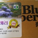 비당뜰베리