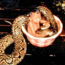 진경목장 이미지