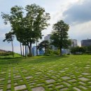 남산트라팰리스공인중개사사무소 이미지