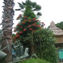 외도가는길 이미지