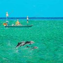 꽃-가족 이미지