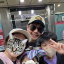 충무카서비스 | 남산나들이 (feat. N서울타워, 남산돈까스, 남산골한옥마을)