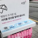 잠원동 주민센터 교차로 신화아파트 앞 | 2026년 서초구 폭염 종합대책