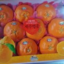 훈이청과 이미지