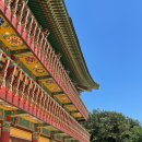 내원정사유치원 이미지