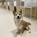 견생낙원 이미지