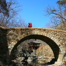 무지개다리 이미지