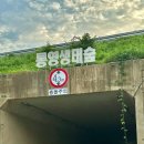 통영생태숲(입구) 이미지