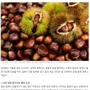 10월 영양정보 ＜제철 간식 '밤' 맛있는것 고르는 팁＞ 이미지