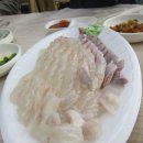오늘자연산회