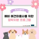 늘어가는 1인 가구시대. 커지는 애견산업. 애견미용의 전문가가 되는 법! 강동구애견미용학원 이미지