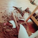 부산뱅갈하우스 이미지