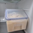 의성화학 | 맛있는 쌀추천 의성진쌀 경상북도 의성군농협쌀조합 의성진쌀 후기