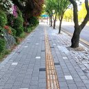 진산로 아이뉴스24