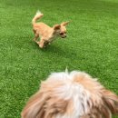 즐거운유치원 이미지