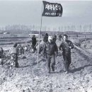 수원-1973 이미지