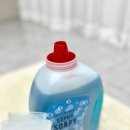 칸Ⅱ | 호텔 비누향 세탁세제 더프트앤도프트 소피소피 후기