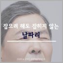 눈앞에 자꾸 날파리가 날아다니다면? 이미지