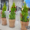 12월 원예: 미리 만나는 크리스마스 이미지