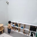 집에서∼영어로 놀자∼아기 영어 놀이 2(오감 체험 활동) | 내돈내산 놀이영어 리틀링고 30개월 체험수업 후 등록까지 한 후기