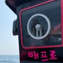 제주세요 | [낚시] 제주 심해 갑오징어 후기ㅣ제주 배프로호, 배프로수산 갑오징어 손질, 제주도 낚시 준비 체크...