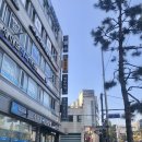 플러스필라테스 네이버블로그