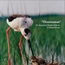 조류탐사과학관 이미지