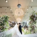 꽃길 | Wedding33.본식스냅 브라이덜 꽃길 대만족 후기