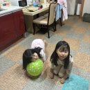 노르웨이2펜션