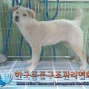 연신로 이미지