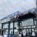 늘푸름목장 네이버블로그