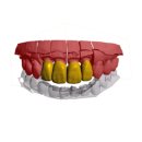 덴아트치과기공소 이미지