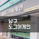 도그어게인