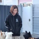 지켜줄개 이미지