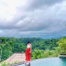 더뷰풀빌라 | 발리 우붓 허니문 더로얄 피타마하 리조트 정글뷰 풀빌라 후기 [1편]