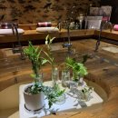 라페스타 | 일산 라페스타 마사지샵 더풋샵마사지 후기