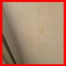 UR(오산시)-[오산로]-하-24 | 침대 자리 벽지 얼룩 제거 업체 도배 시공