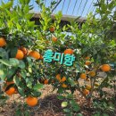 거성농장 이미지