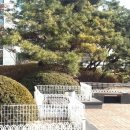 분당-221 이미지