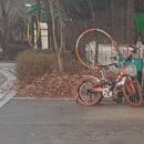 너른들어린이공원 이미지