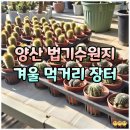 법기로 | 양산 법기수원지 겨울 여행 후기