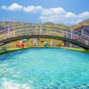 가평가보자독채애견풀빌라수영장 이미지