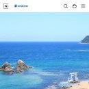 애니고글 이미지