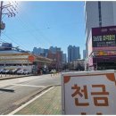 천금부동산공인중개사사무소 네이버블로그