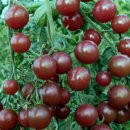 환이농장 이미지