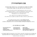 메디안디자인