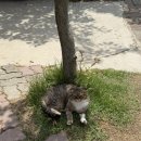 쥬쥬모텔 네이버블로그