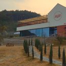 쌍둥이네 농장 | 예산 예당저수지 맛집 브런치 카페 아그리르