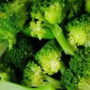 브로콜리 민박 이미지