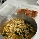 이소영동물병원 | 2024년 연말결산 레쓰고